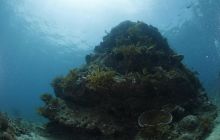 Zdjęcia z wyjazdu na Bali