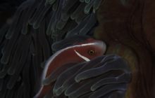 Zdjęcia z wyjazdu na Bali