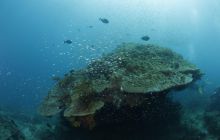 Zdjęcia z wyjazdu na Bali