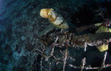 Zdjęcia z wyjazdu na Bali