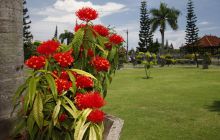 Zdjęcia z wyjazdu na Bali