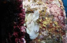 Zdjęcia z wyjazdu na Bali