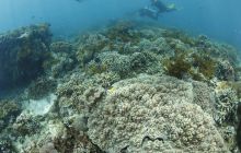 Zdjęcia z wyjazdu na Bali