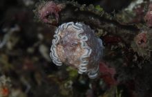 Zdjęcia z wyjazdu na Bali