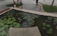 Zdjęcia z wyjazdu na Bali