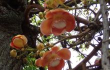 Zdjęcia z wyjazdu na Bali