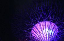 Zdjęcia z wyjazdu na Bali