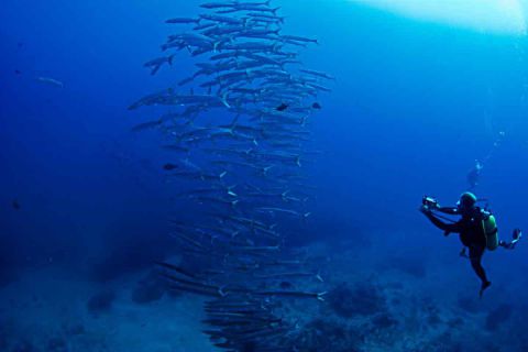 Nurkowanie Andamany plus zwiedzanie Indii