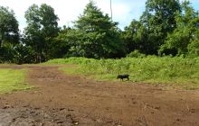Zdjęcia z Lembeh i Bunaken