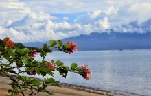 Zdjęcia z Lembeh i Bunaken