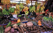 Zdjęcia z Lembeh i Bunaken
