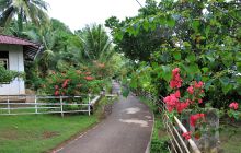Zdjęcia z Lembeh i Bunaken