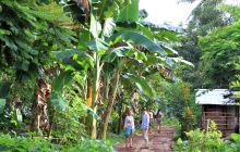 Zdjęcia z Lembeh i Bunaken
