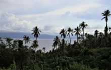 Zdjęcia z Lembeh i Bunaken