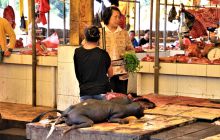 Zdjęcia z Lembeh i Bunaken