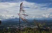 Zdjęcia z Lembeh i Bunaken