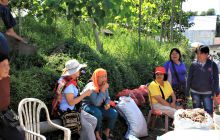 Zdjęcia z Lembeh i Bunaken