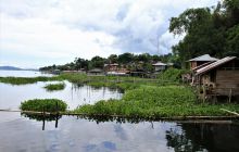 Zdjęcia z Lembeh i Bunaken