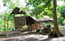 Zdjęcia z Lembeh i Bunaken