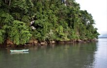 Zdjęcia z Lembeh i Bunaken