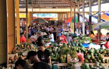 Zdjęcia z Lembeh i Bunaken