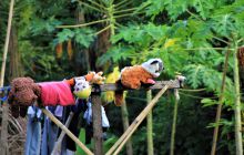 Zdjęcia z Lembeh i Bunaken