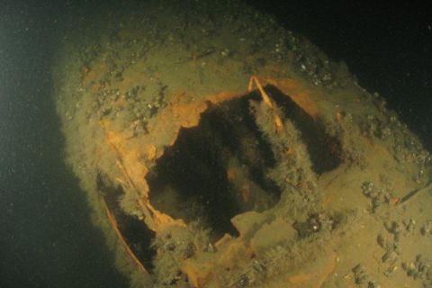 Nurkowanie Ślązak, Delfin, Groźny