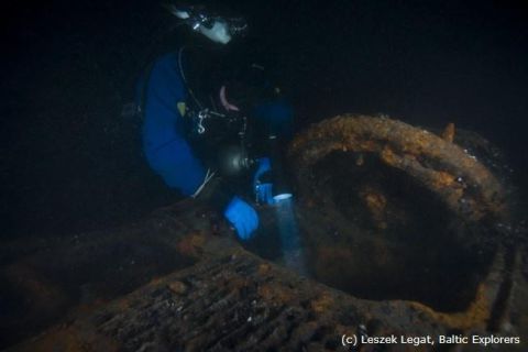 Nurkowanie Ślązak, Delfin, Groźny