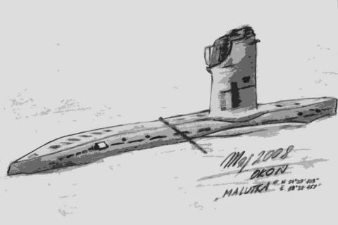 Nurkowanie Ślązak, Delfin, Groźny