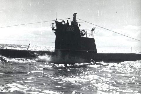 Nurkowanie Ślązak, Delfin, Groźny