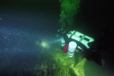 Nurkowanie Ślązak, Delfin, Groźny