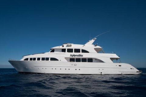 LAST MINUTE za 2'500 PLN - Brothers Islands