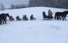 Zdjęcia z Kuligu Trytona