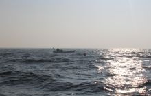 Nurkowanie wrakowe z Litorala 28 sty 2017