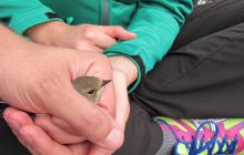 NURKOWANIE WRAKOWE TERRA + ŻAGLOWIEC ŁEBA 20 sierpnia 2016