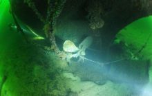 Nurkowanie Wrakowe Terra + wrak na ~40m