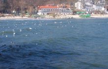 Łąki Orłowskie 5 luty 2017