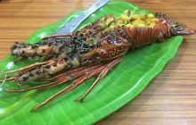 Zdjęcia z wyjazdu na Andamany