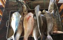 Zdjęcia z wyjazdu na Andamany