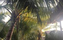 Zdjęcia z wyjazdu na Andamany