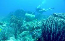 Zdjęcia z wyjazdu na Andamany