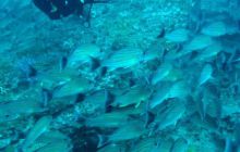 Zdjęcia z wyjazdu na Andamany