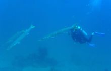 Zdjęcia z wyjazdu na Andamany