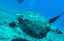 Zdjęcia z wyjazdu na Andamany