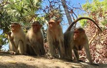 Zdjęcia z wyjazdu na Andamany