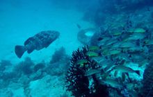 Zdjęcia z wyjazdu na Andamany