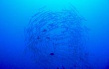 Zdjęcia z wyjazdu na Andamany