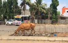 Zdjęcia z wyjazdu na Andamany