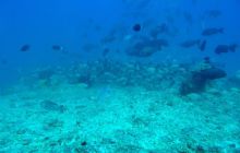 Zdjęcia z wyjazdu na Andamany