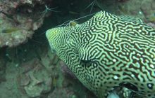 Zdjęcia z wyjazdu na Andamany